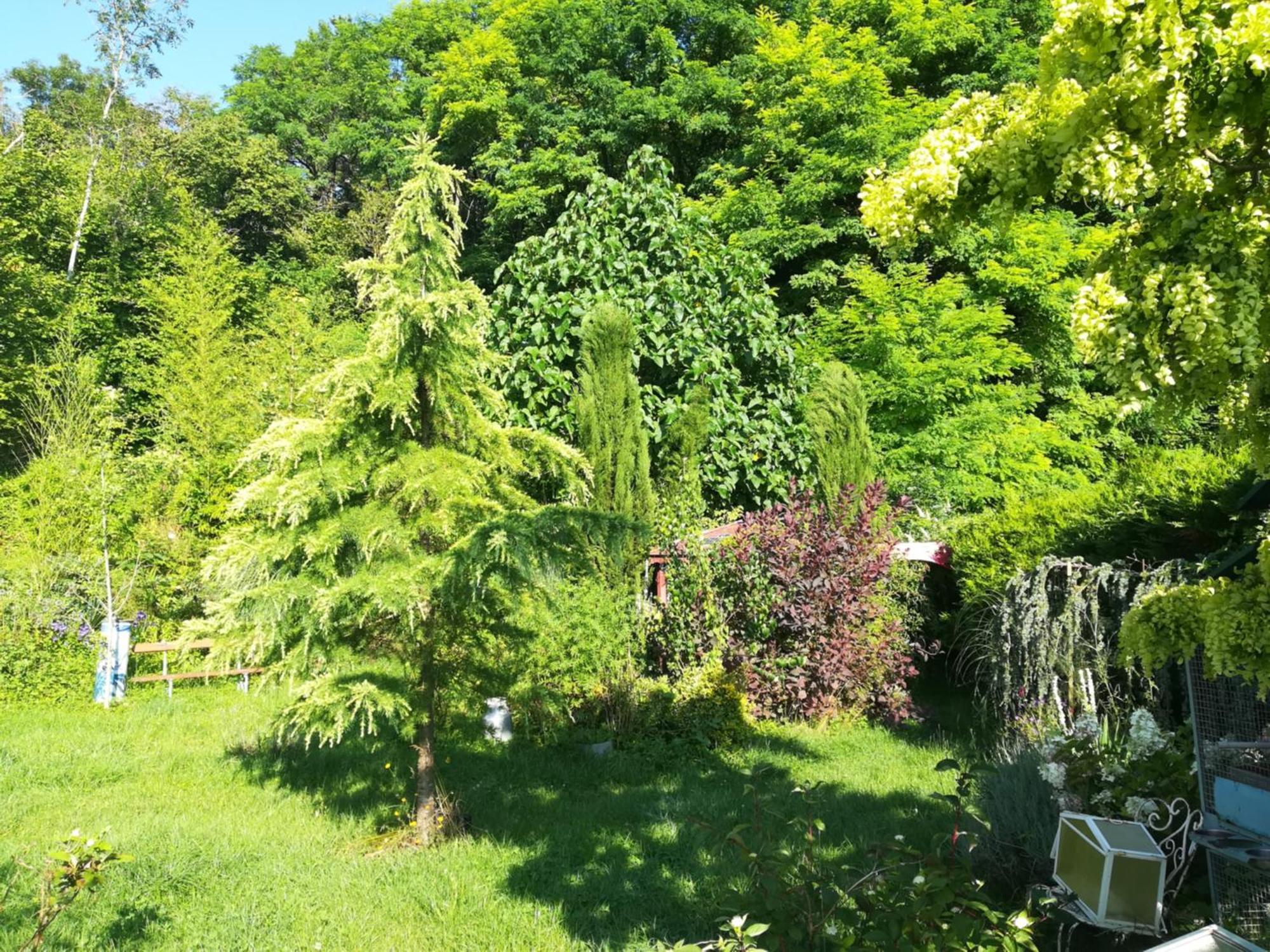 Apiculteur Loue 2 Chambres Dans Cadre Verdoyant Pagny-sur-Meuse Екстериор снимка